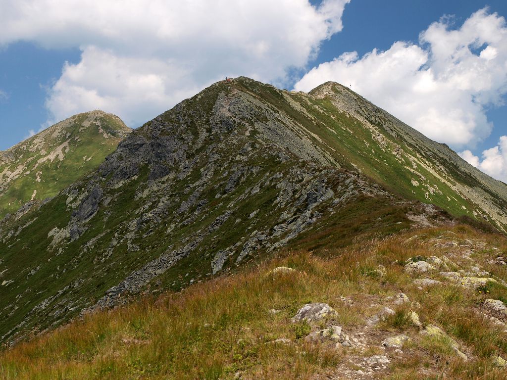 img00006.jpg
