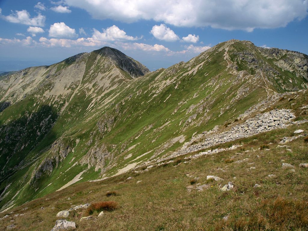 img00007.jpg