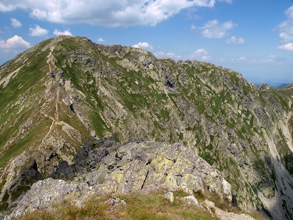 img00008.jpg