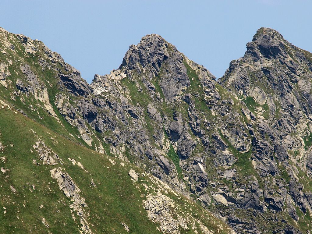img00010.jpg