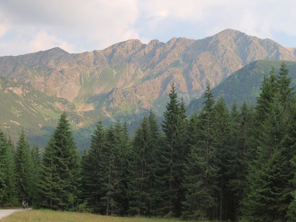 img00024.jpg