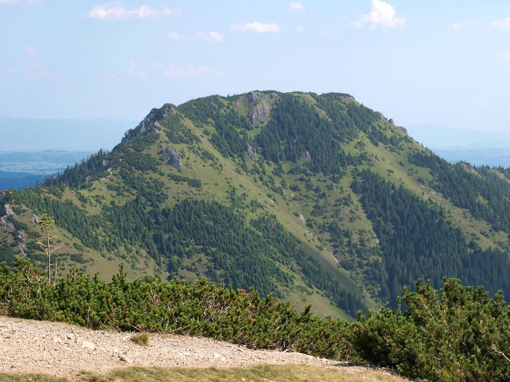 img00008.jpg