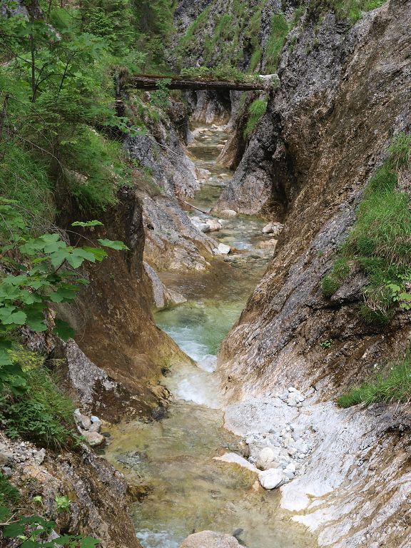 img00019.jpg