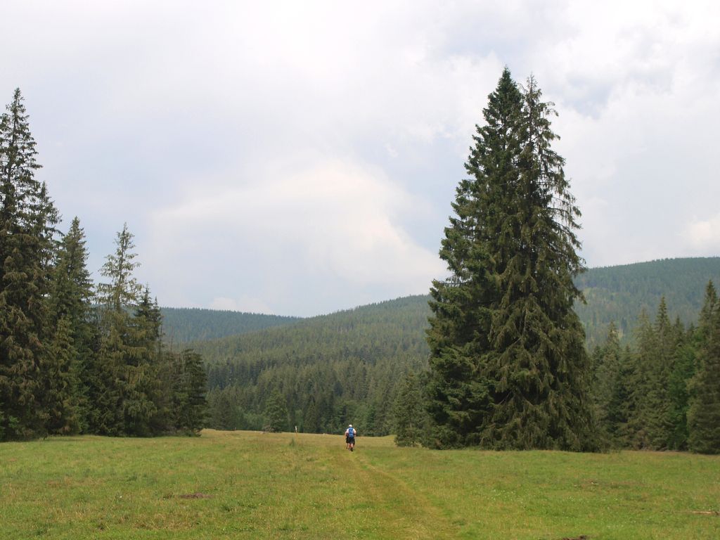img00023.jpg