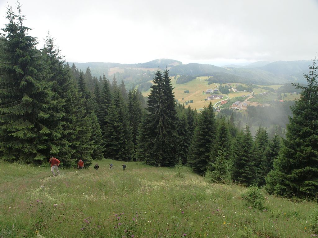img00004.jpg