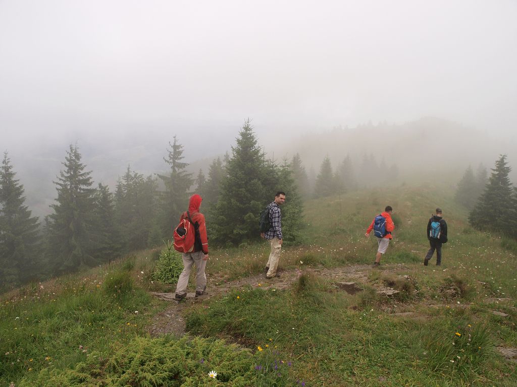 img00006.jpg