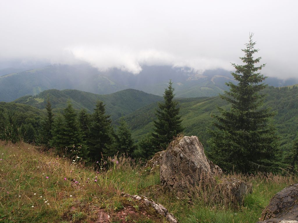 img00007.jpg