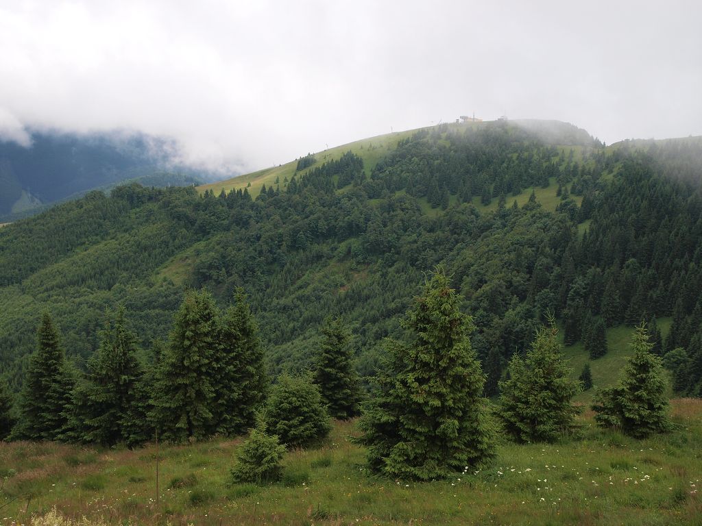 img00009.jpg