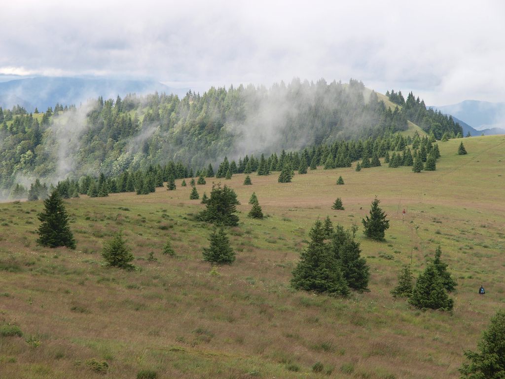img00010.jpg