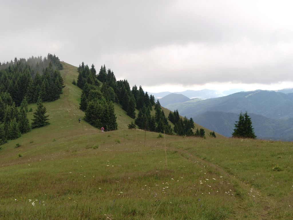 img00013.jpg