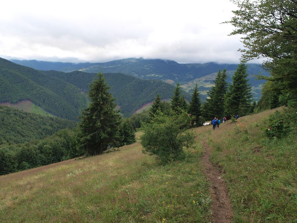img00018.jpg