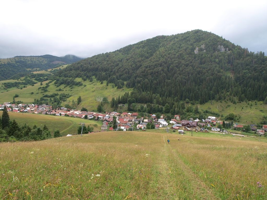 img00020.jpg