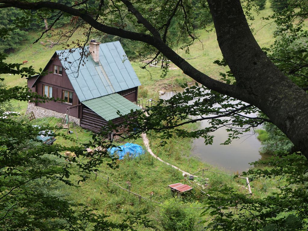img00003.jpg