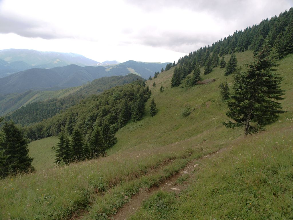 img00004.jpg