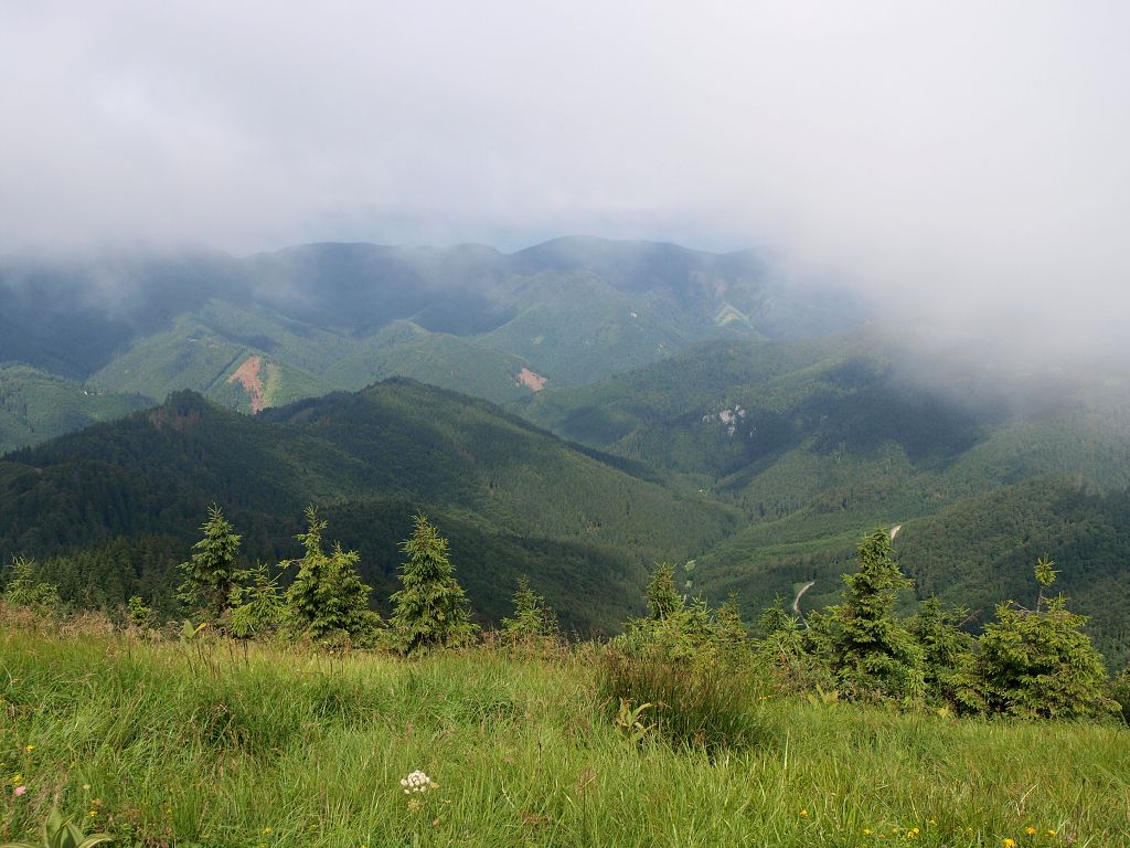 img00006.jpg