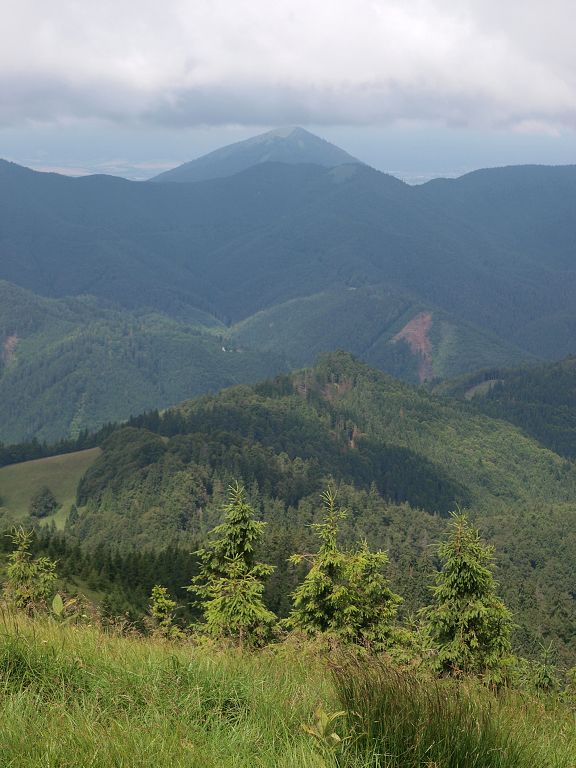 img00008.jpg