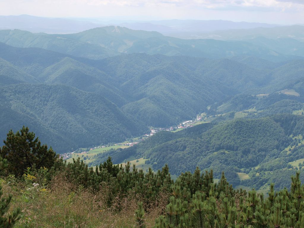 img00010.jpg