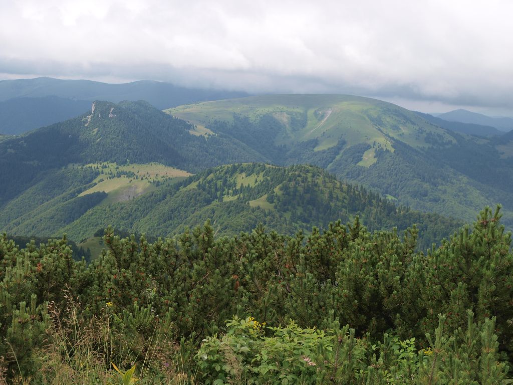 img00011.jpg