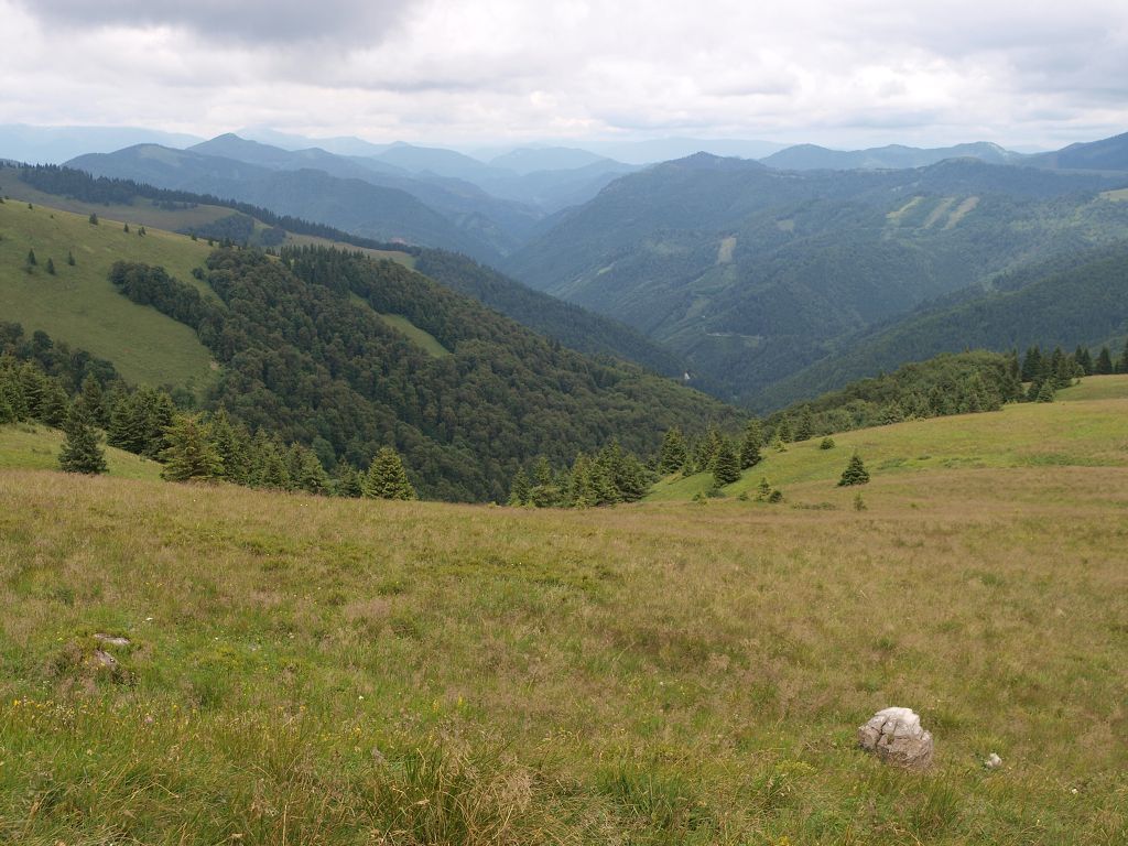 img00013.jpg