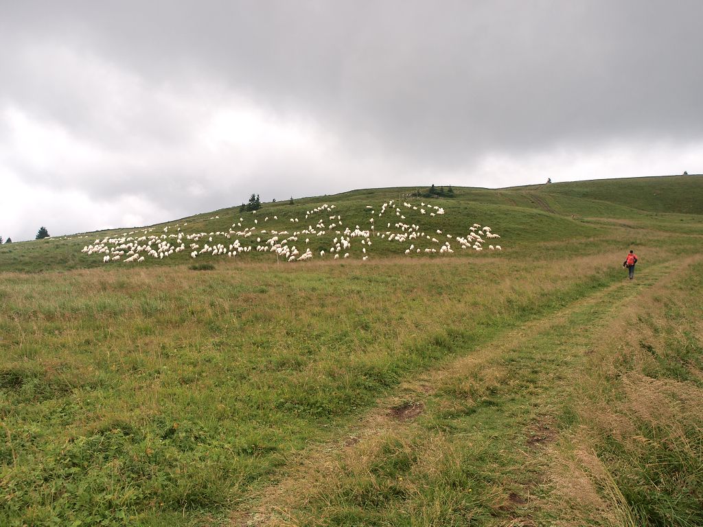 img00014.jpg
