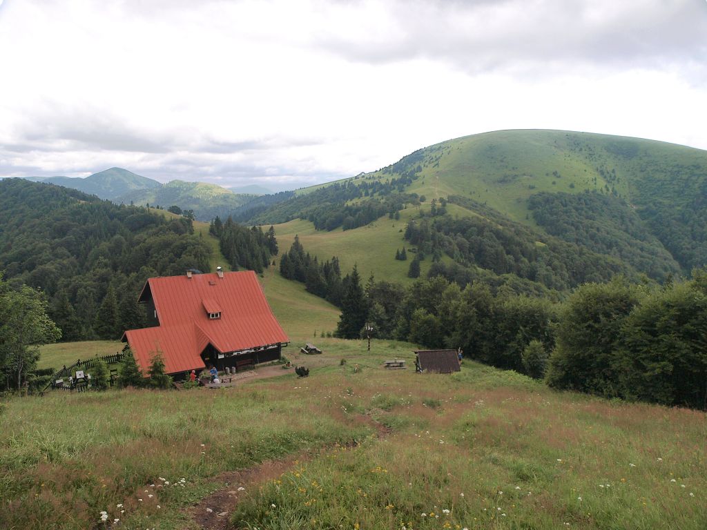 img00017.jpg