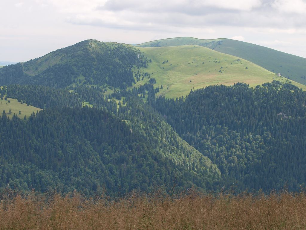 img00020.jpg