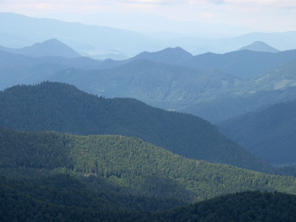 img00021.jpg