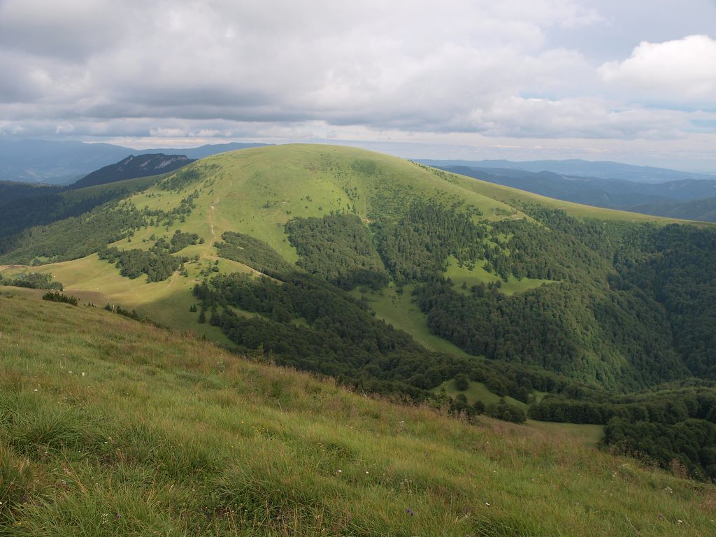 img00022.jpg