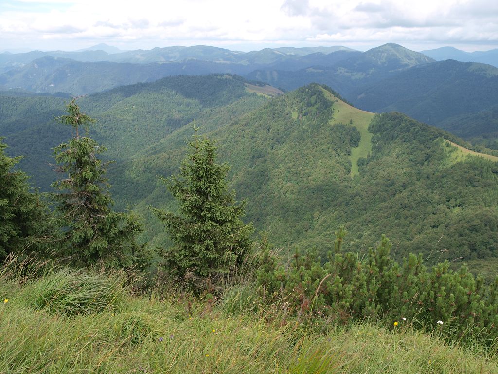 img00023.jpg