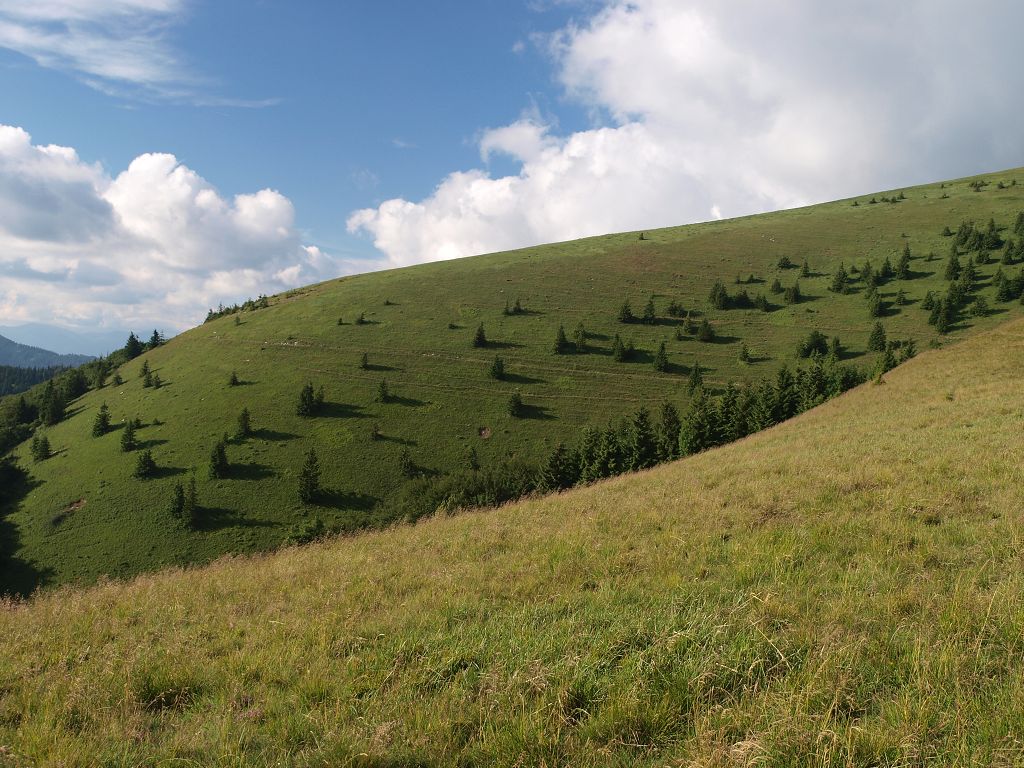 img00024.jpg