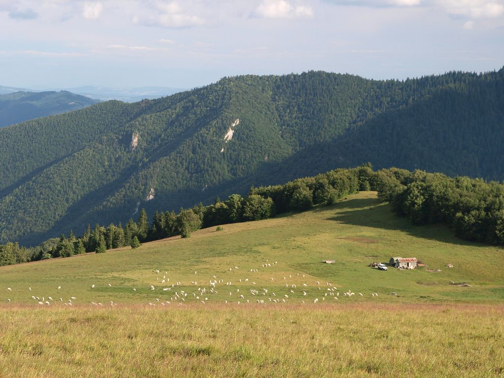 img00025.jpg