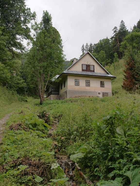 img00006.jpg