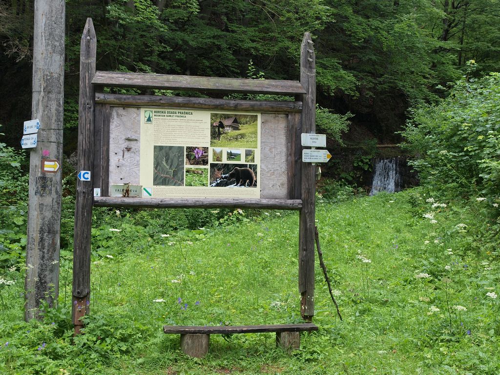 img00007.jpg