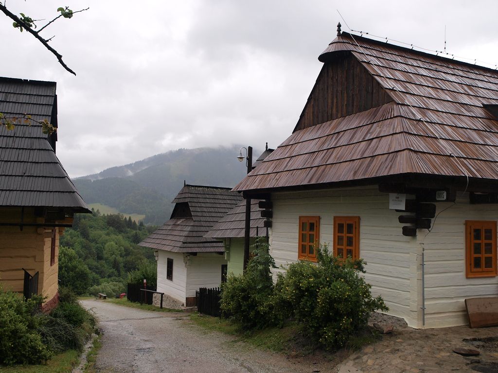 img00011.jpg