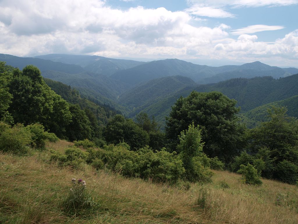 img00002.jpg