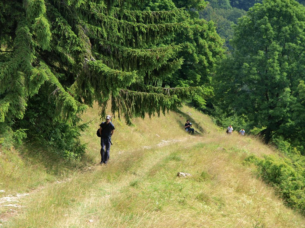 img00003.jpg