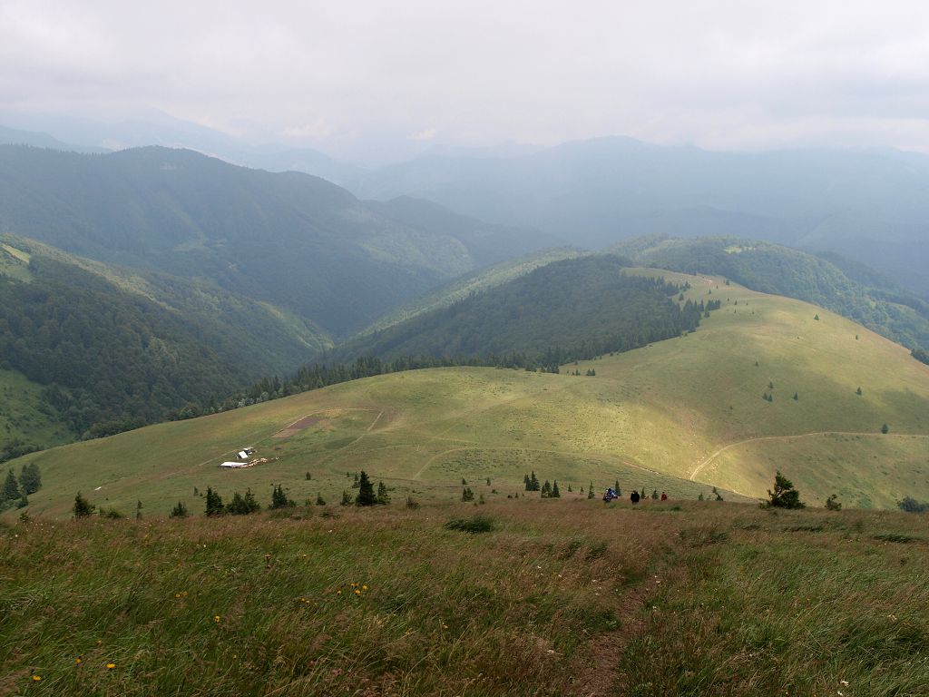 img00005.jpg
