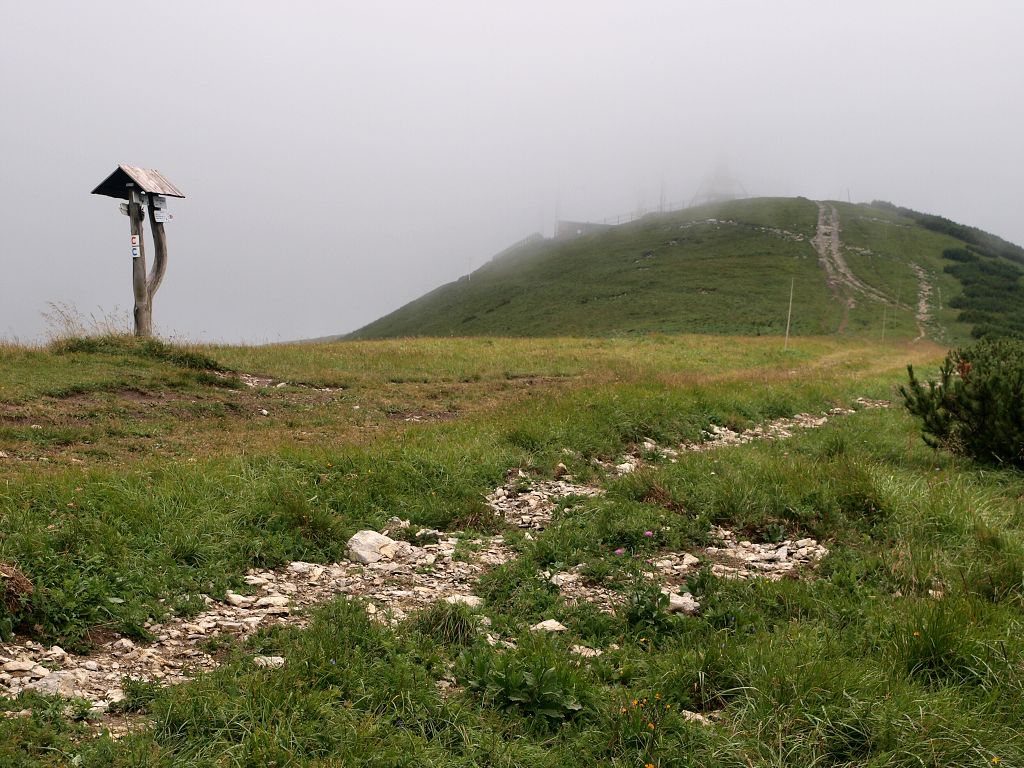 img00006.jpg