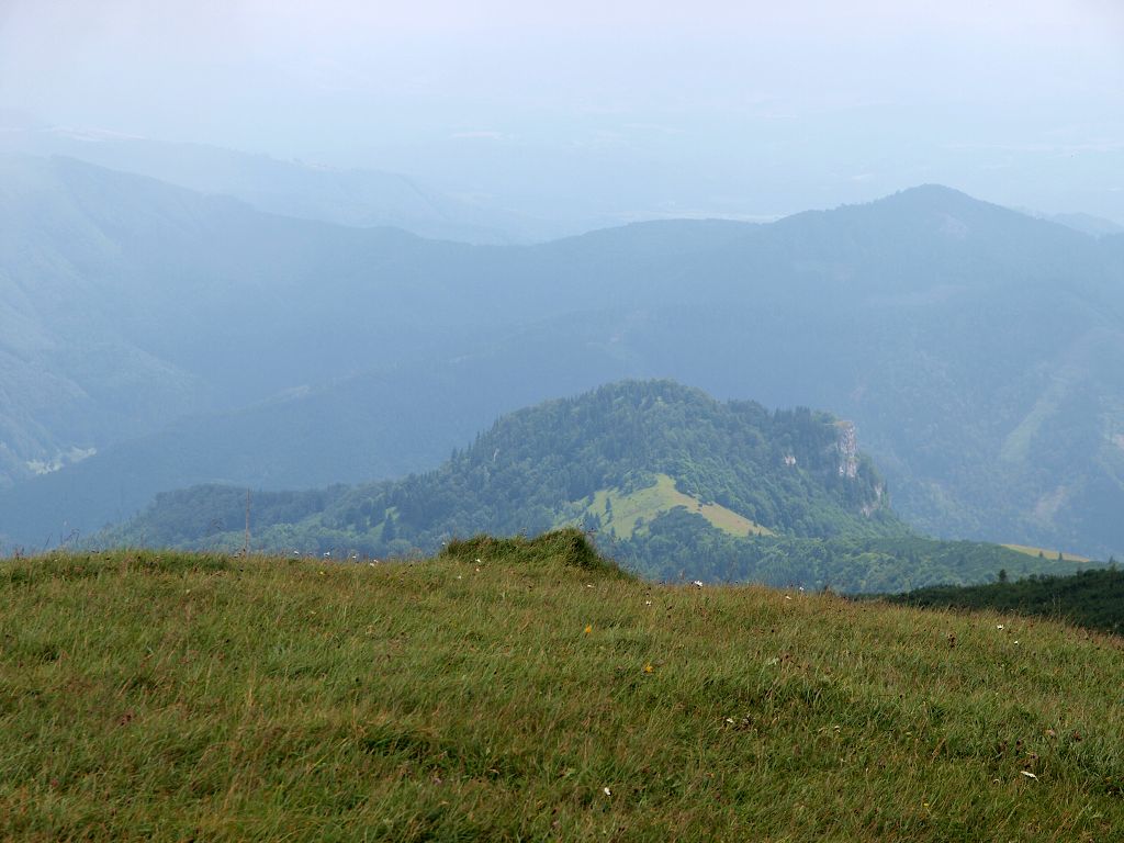 img00007.jpg