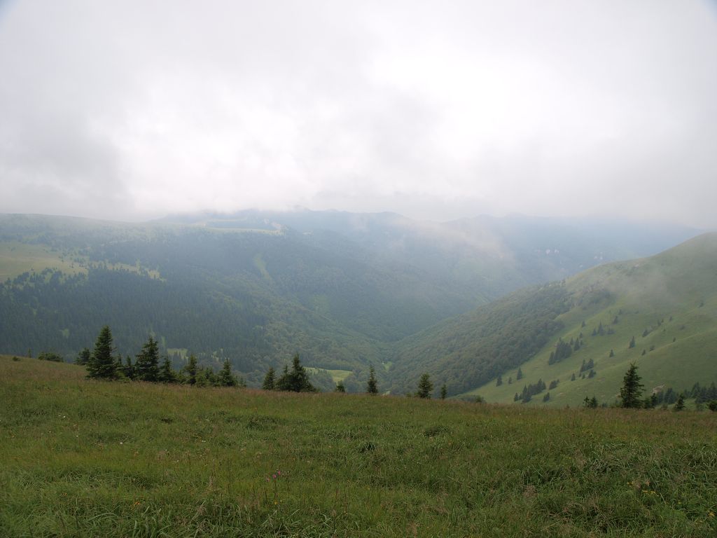 img00012.jpg