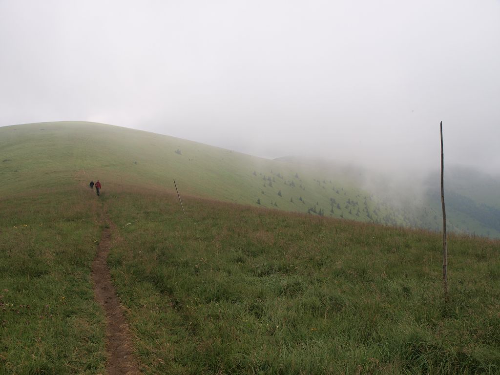 img00013.jpg