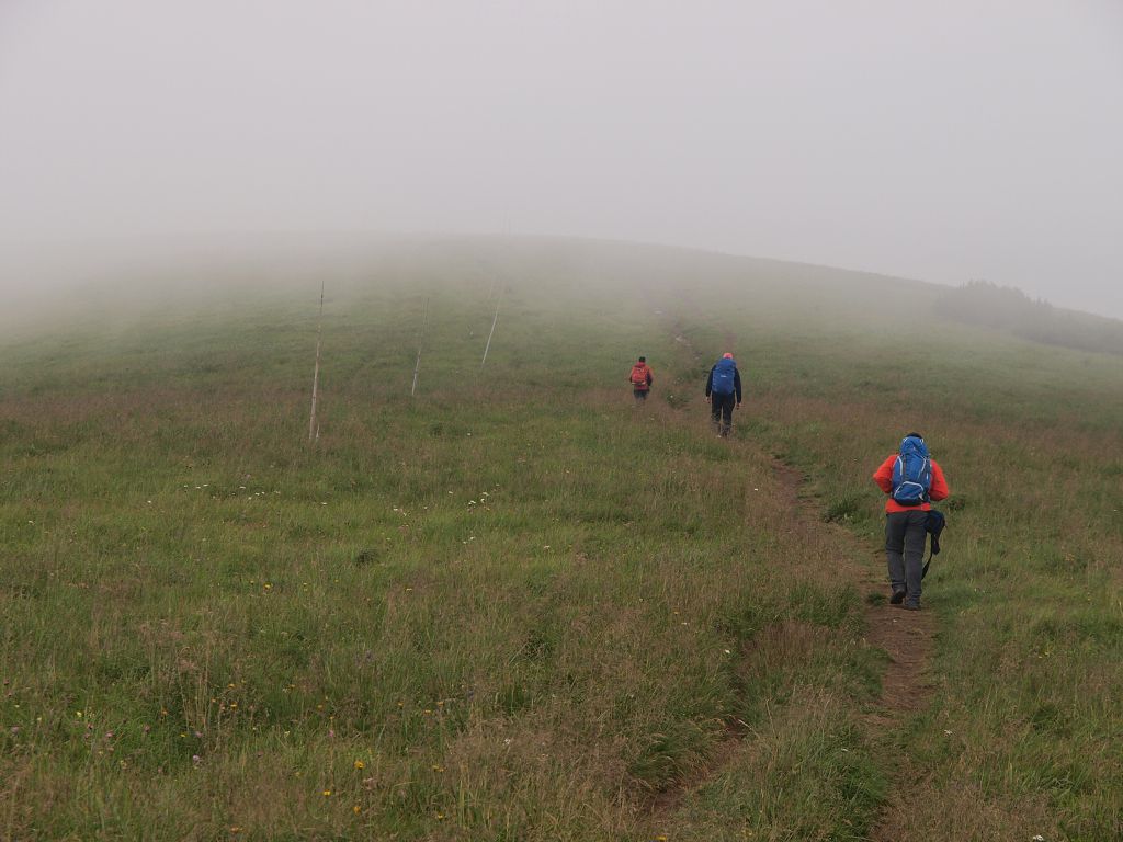 img00014.jpg