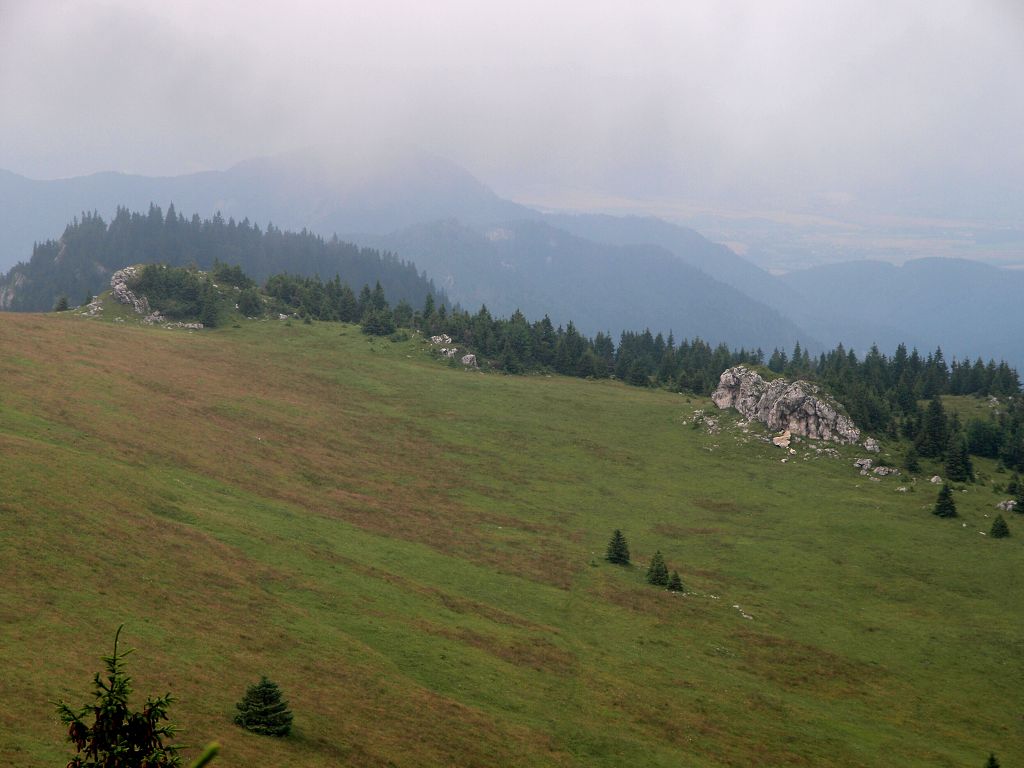 img00017.jpg