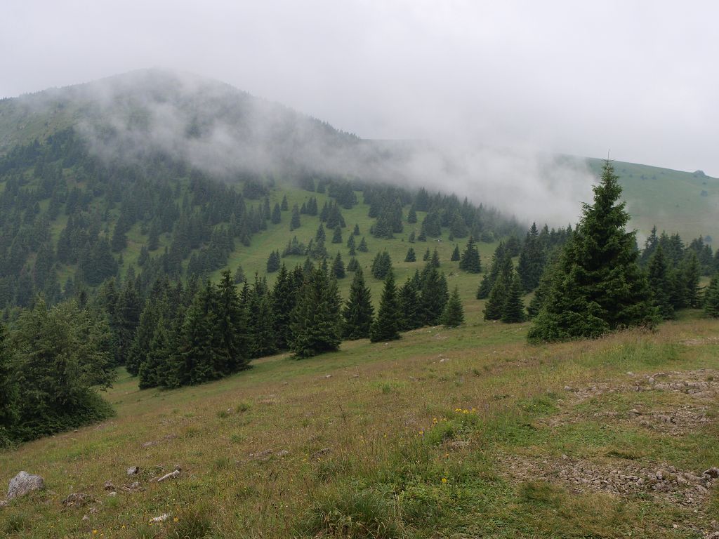 img00018.jpg