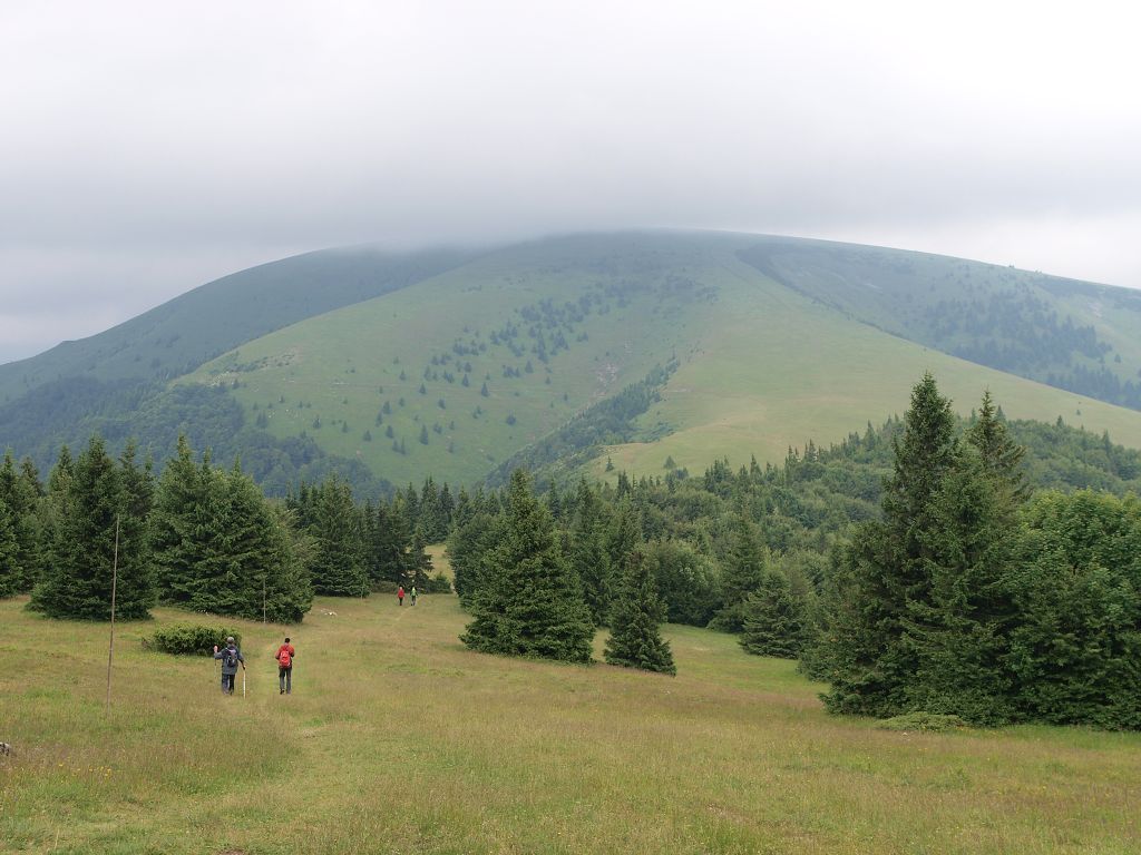img00019.jpg