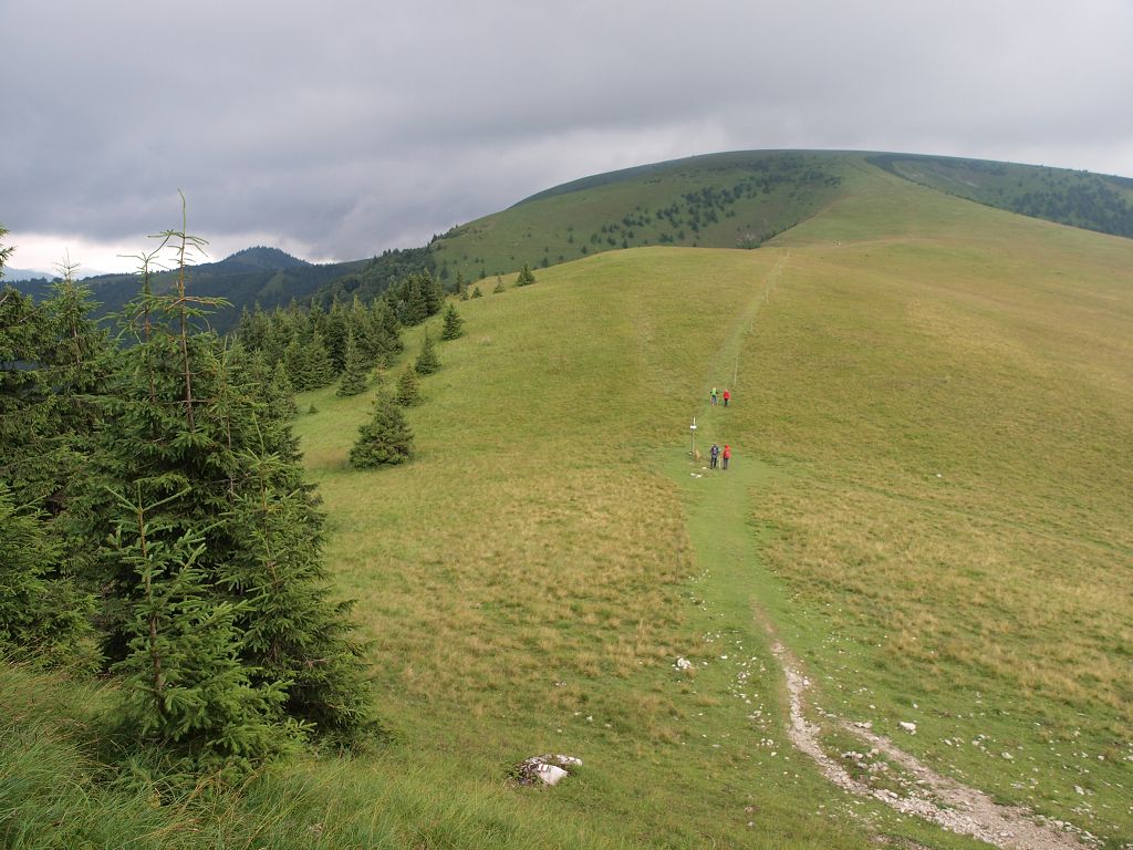 img00020.jpg