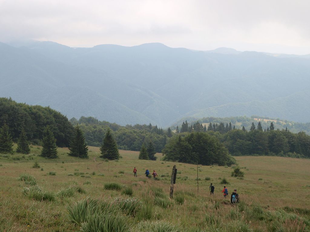 img00021.jpg