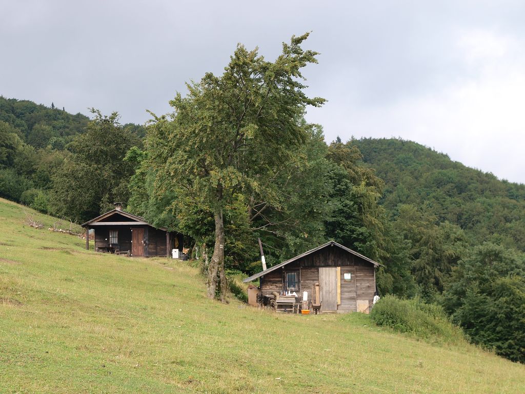 img00022.jpg