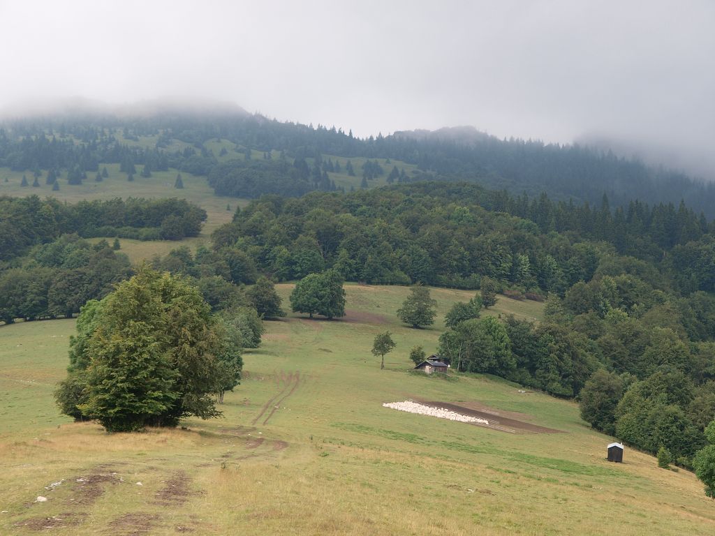img00023.jpg