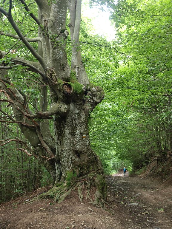 img00025.jpg